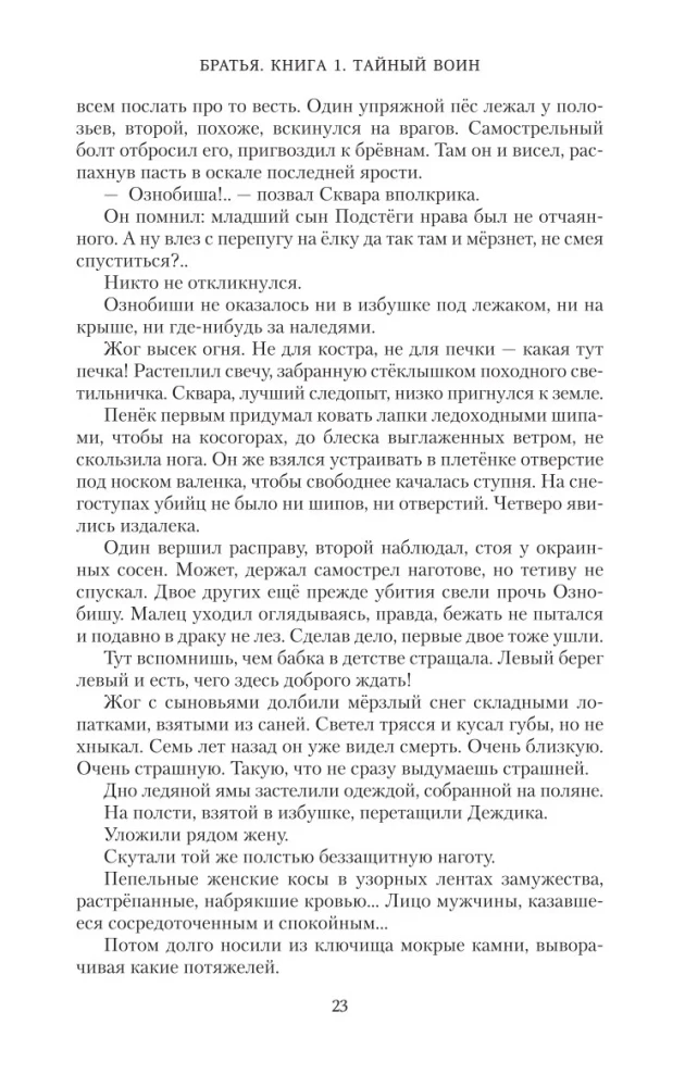 Братья. Книга 1. Тайный воин